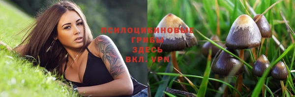 прущий лед Кодинск