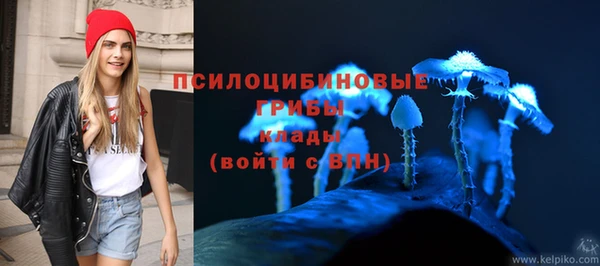 стафф Козловка