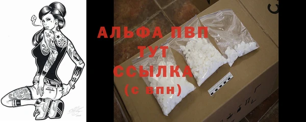 2c-b Корсаков