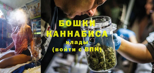 стафф Козловка